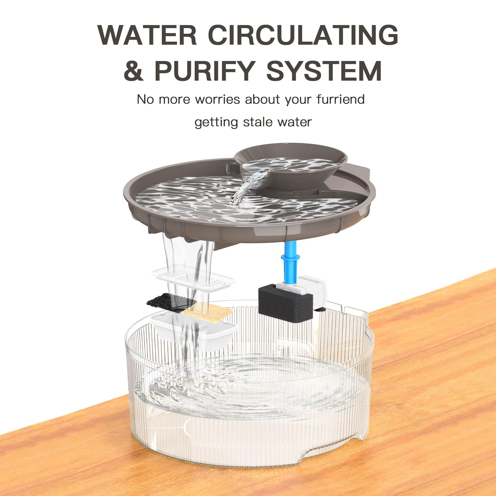 Petilog BPA-free materials safeguard your dog’s drinking water.