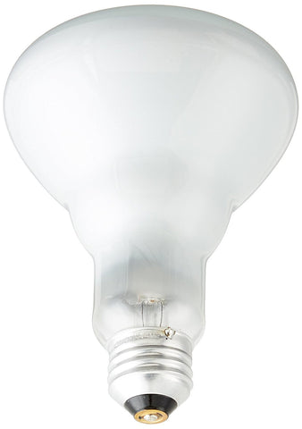 Philips Duramax 65W BR30 frosted flood bulb for bright, even room lighting.
