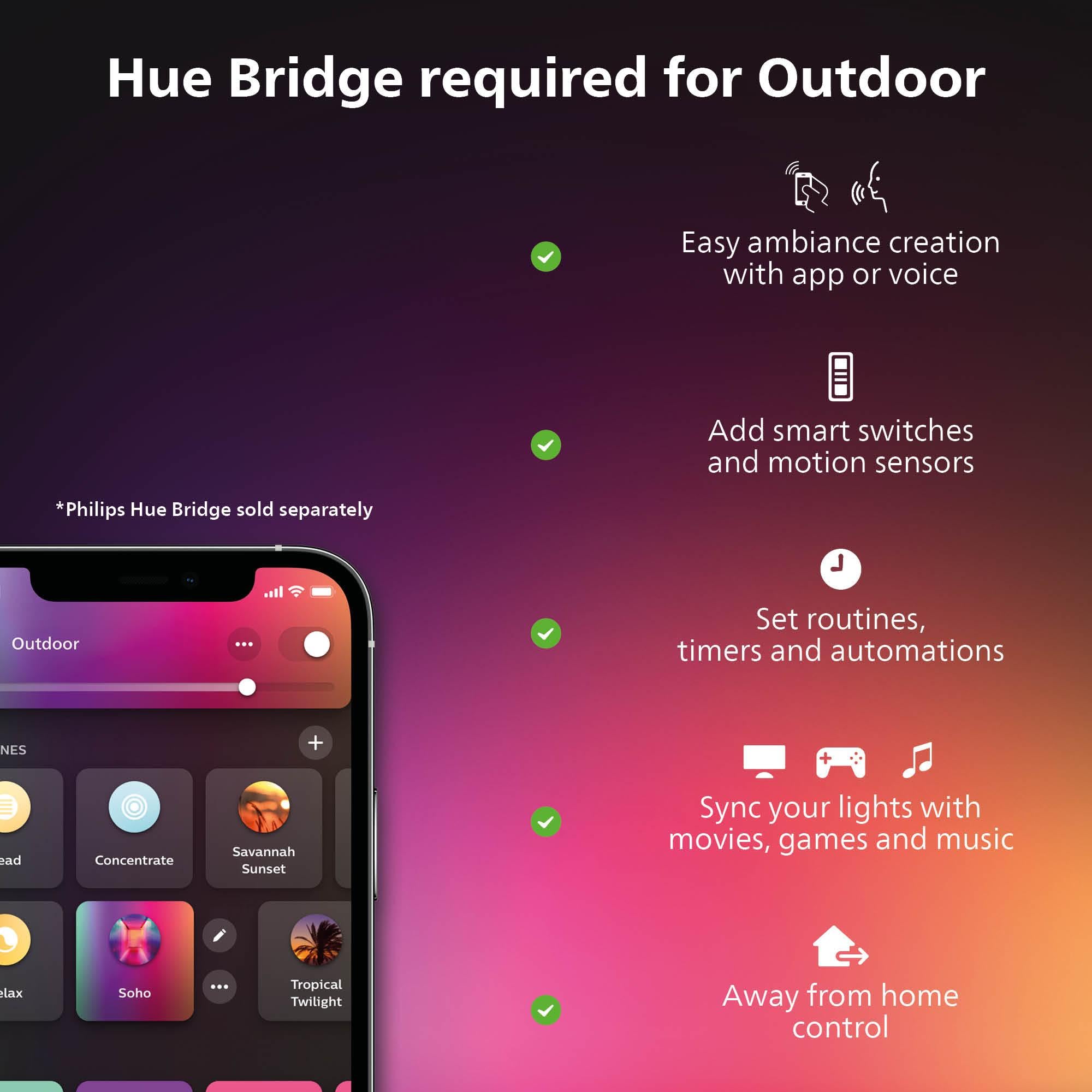 Calla path light displaying color options for outdoor ambiance
