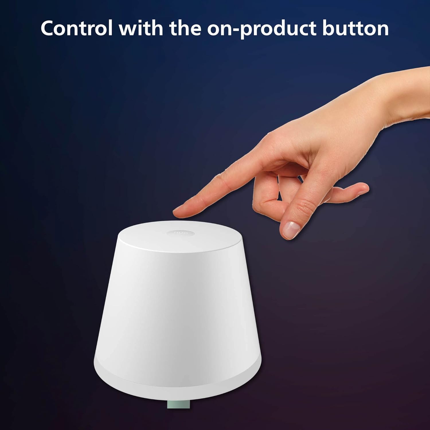 Voice control setup for Philips Hue Go with Alexa or Google Assistant