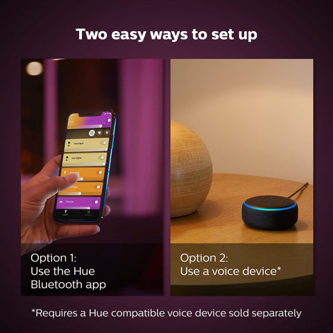 Voice control ready Iris lamp works with Alexa or Google.
