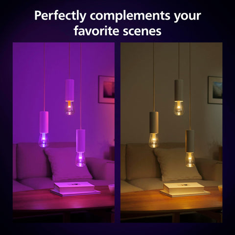 Philips Hue Lightguide ST23 unique shapes complement decor and style