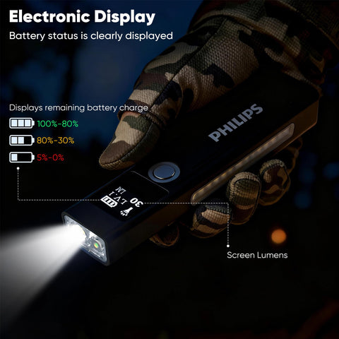 Philips SFL6256 aluminium housing delivers rugged durability in outdoor use.
