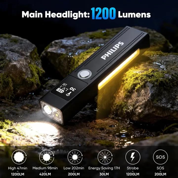 Philips SFL6256 white main LED provides bright area illumination for tasks.