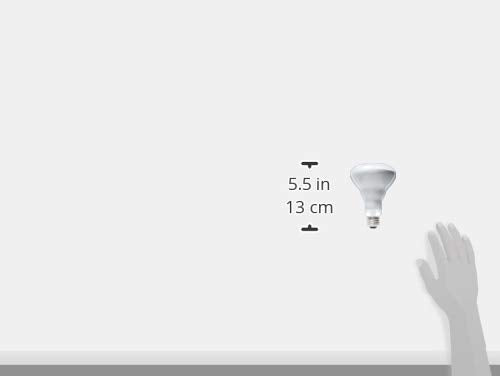 Philips soft white BR30 bulb shown for living room ambience with dimmable mood lighting.