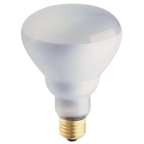 Philips Soft White BR30 indoor flood bulb in a 12-pack ideal for recessed lighting and dimmable mood control