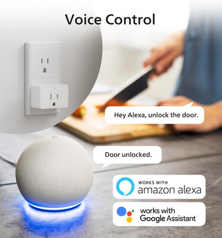 Philips voice control with Alexa and Google Home.