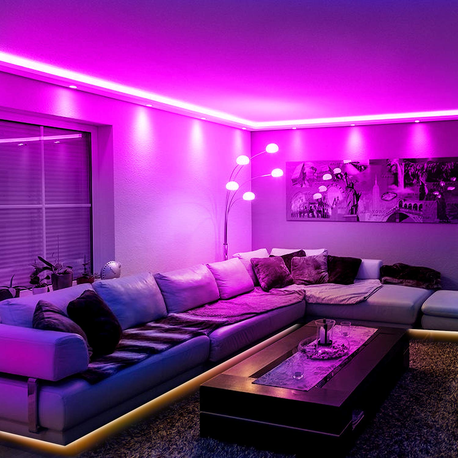 Phopollo 50-foot strip delivering even illumination.