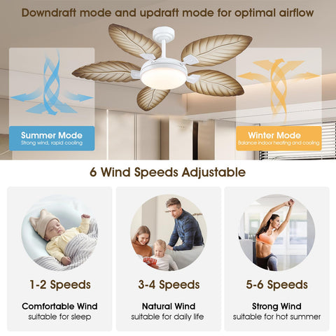 PHORUS 52-inch ceiling fan light assembly illuminated for ambiance