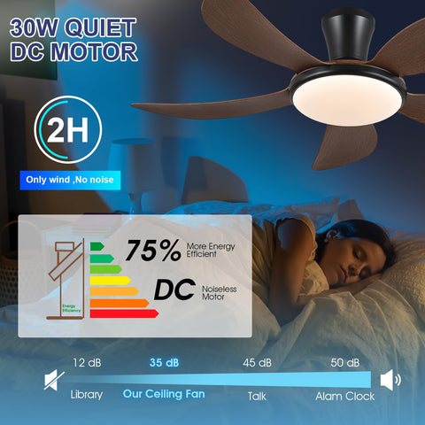 PHORUS easy installation with clear English manual and video guide
