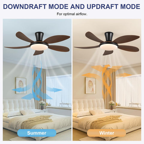 PHORUS quiet 30W motor maintains a peaceful room atmosphere
