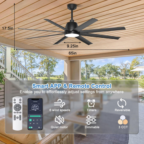 Phylluz 65-inch fan remote control for easy breeze