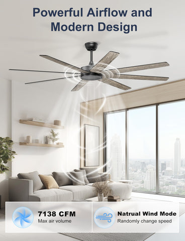 Phylluz 72 inch ceiling fan reversible function for year round comfort
