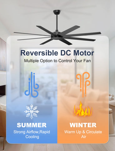 Phylluz ceiling fan fits sloped ceilings up to 15 degrees