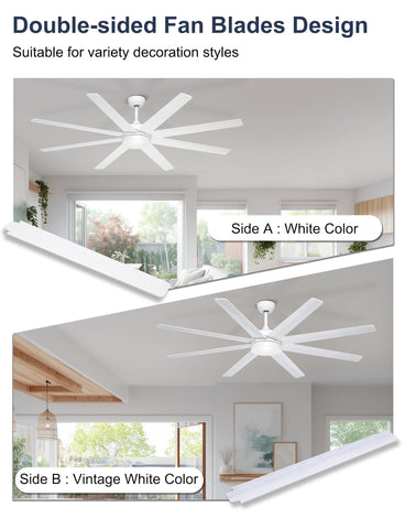 Phylluz eight-blade white ceiling fan delivers strong airflow.