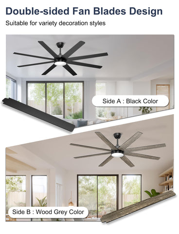 Phylluz large ceiling fan with app control for modern convenience.