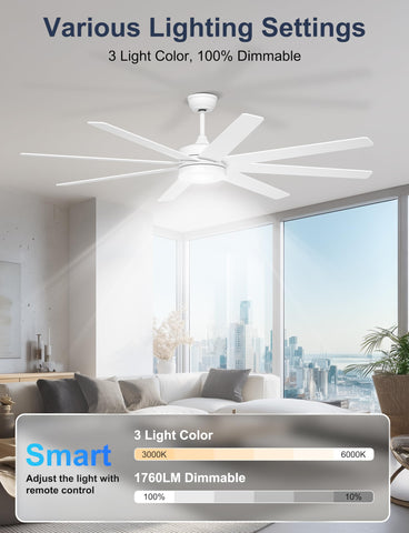 Phylluz dimmable lighting with warm, cool, and neutral options.