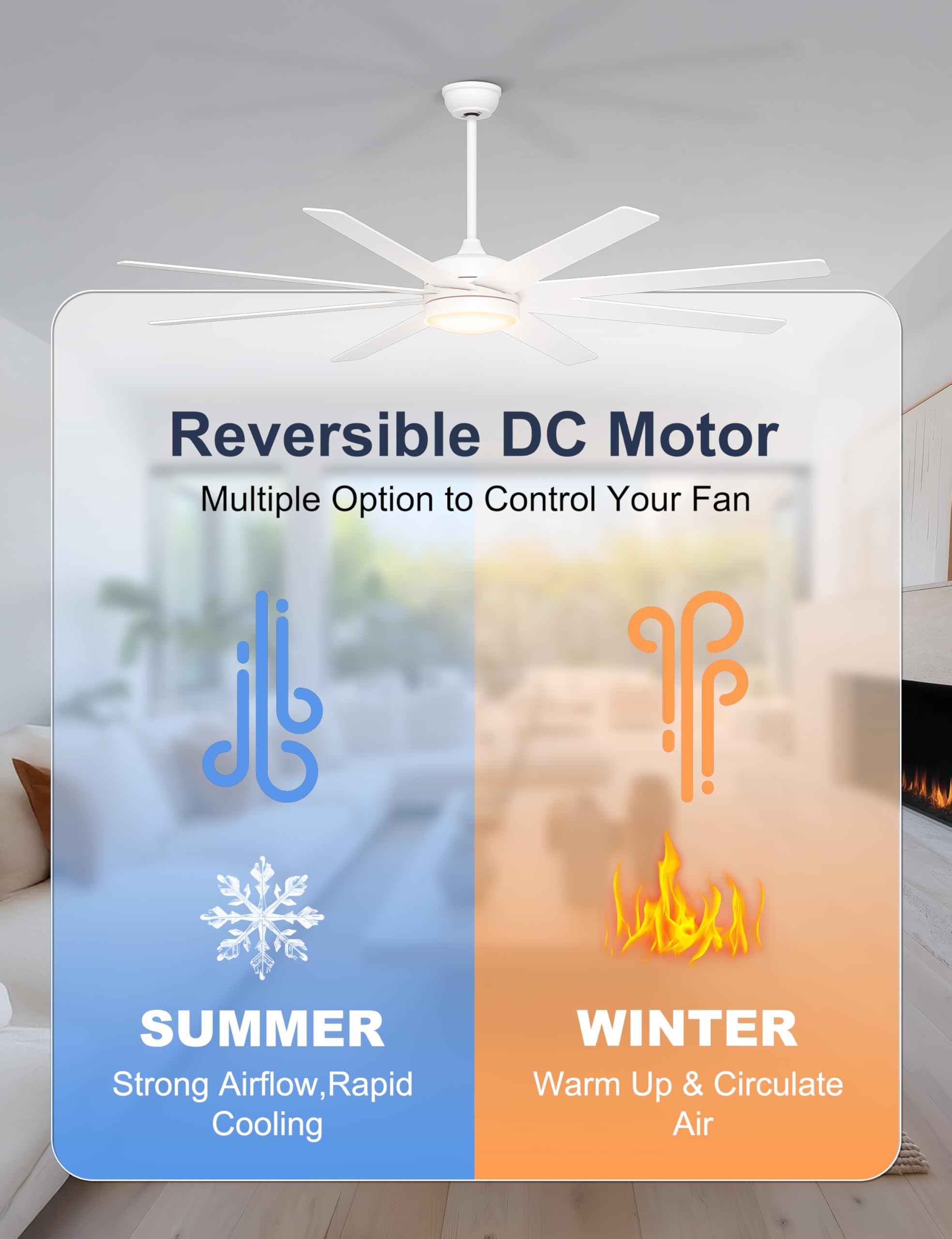 Phylluz energy-efficient DC motor reduces power consumption.