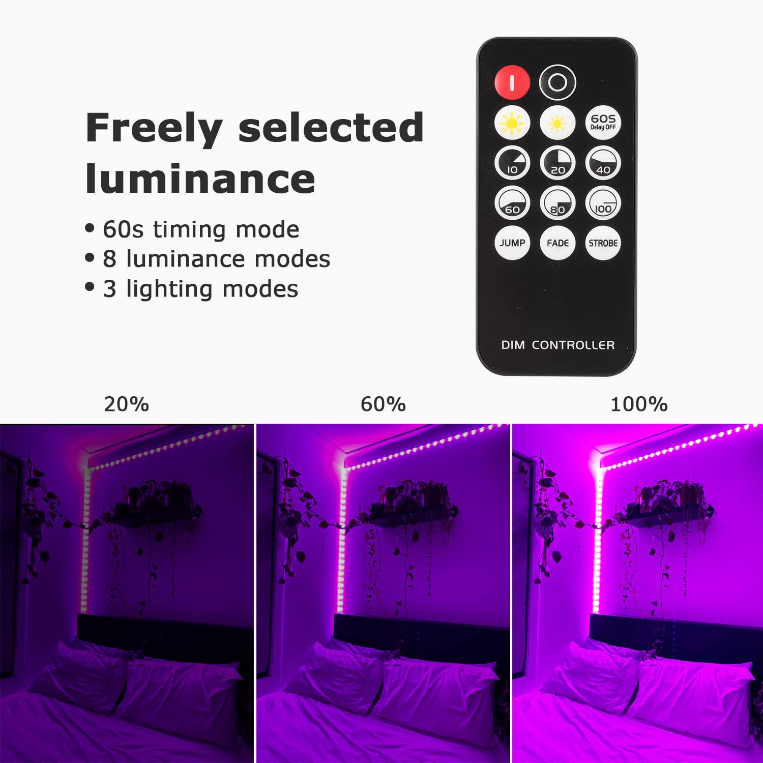 PIZHLO twelve-volt operation keeps setup simple and safe