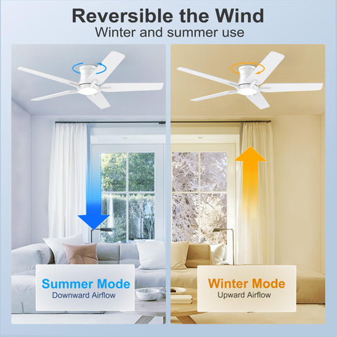 POCHFAN DC inverter quiet motor for low-noise operation