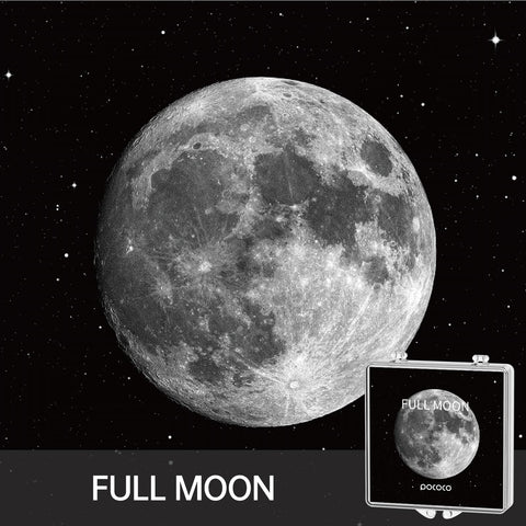 POCOCO Moon and Stars pattern 03 disc highlights 50+ patterns for versatile decor