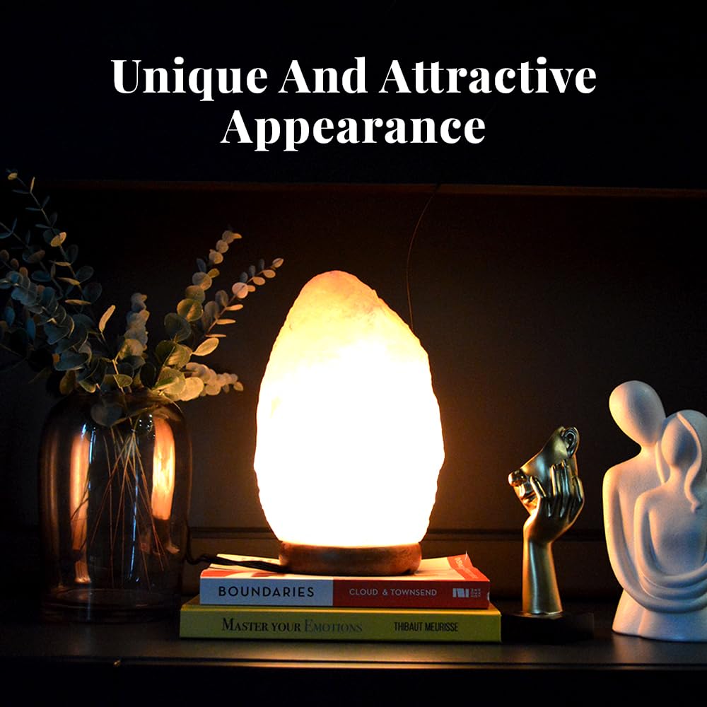 POHS gift-ready lamp suits birthdays or housewarmings with natural beauty.