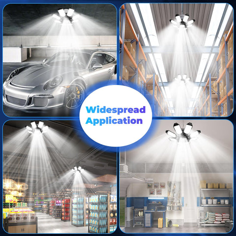 POLARPRA flicker-free design reduces eye strain on long projects.