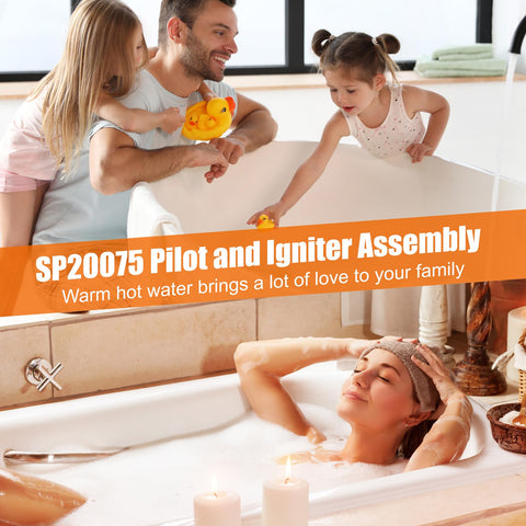 Pontuss SP20075 kit with all parts for quick replacement