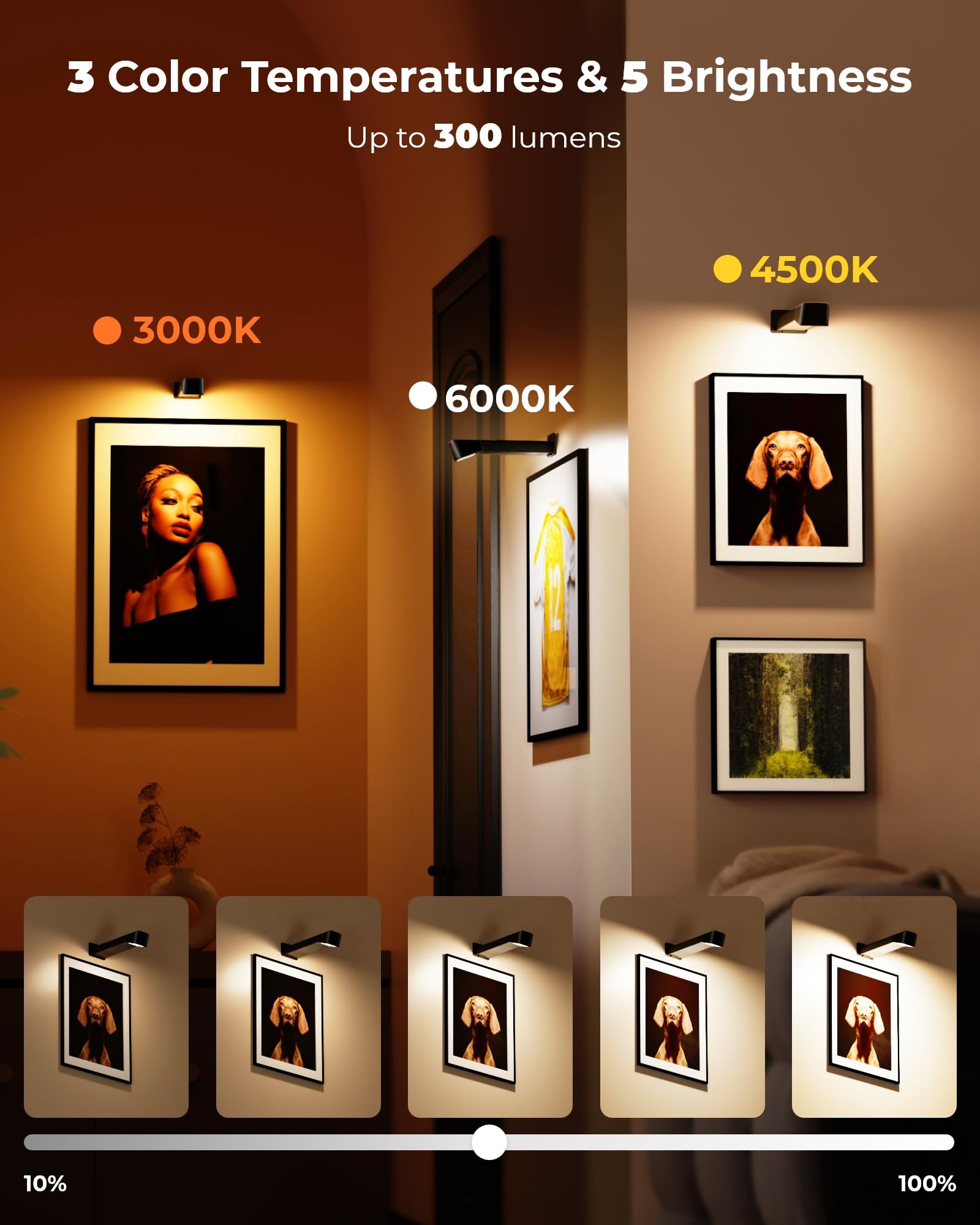 PopoIron wall-frame light set compatible with 4x6 to 8x12 frames.