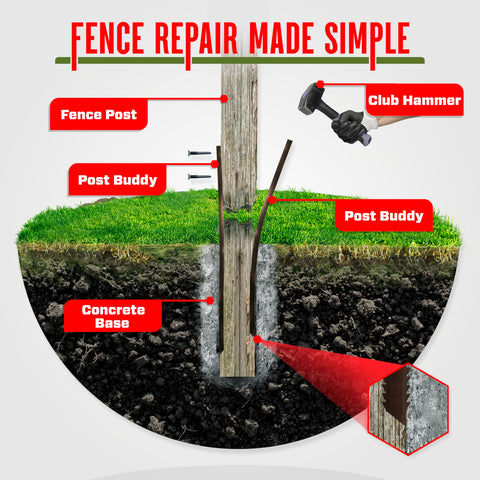 Post Buddy easy-install-process showing simple setup and fast results