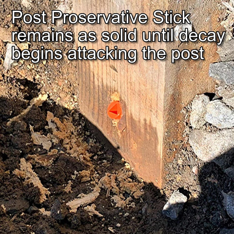 Post Proservative seal plug secures the treatment after application.
