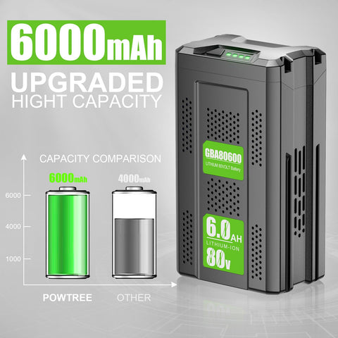 Powtree GBA80200 battery showing LED indicators for charge status