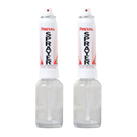 Preval Pro-Pak two spray systems for versatile painting and precise touch-ups.