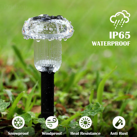 Priddop color changing LED lights create mood lighting for gatherings