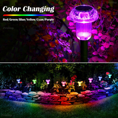 Priddop waterproof solar lights stand up to rain and wind along borders