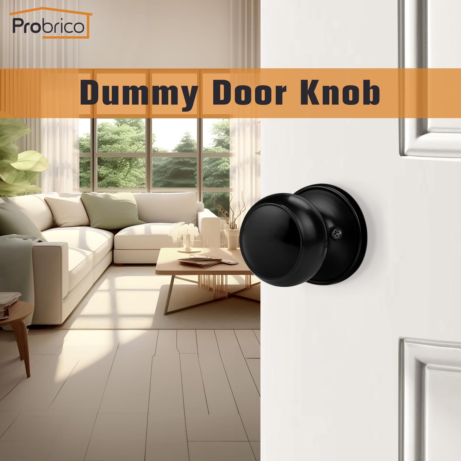 Probrico Easy installation guides quick upgrades using a Phillips screwdriver