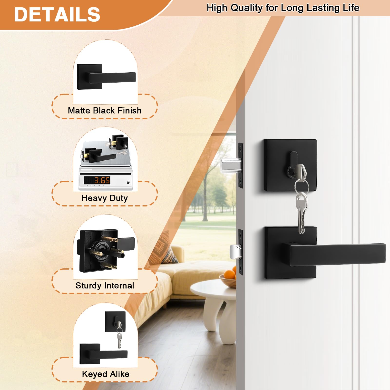 Probrico exterior handle assembly offers durable, weather-ready front door hardware.