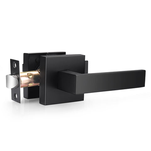 Probrico interior passage lever in matte black showing smooth operation on a door