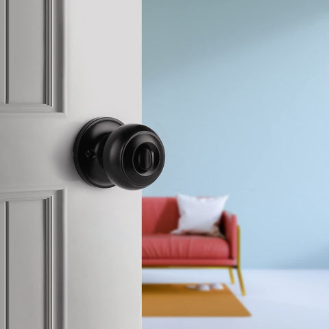 Probrico latch and knob detail with adjustable backset