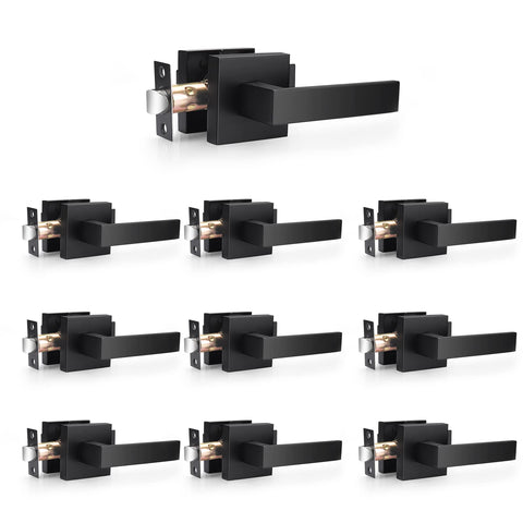 Probrico matte-black lever close-up highlights durable interior door finish.