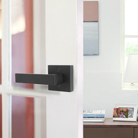 Probrico matte black dummy lever inside view demonstrates easy installation.