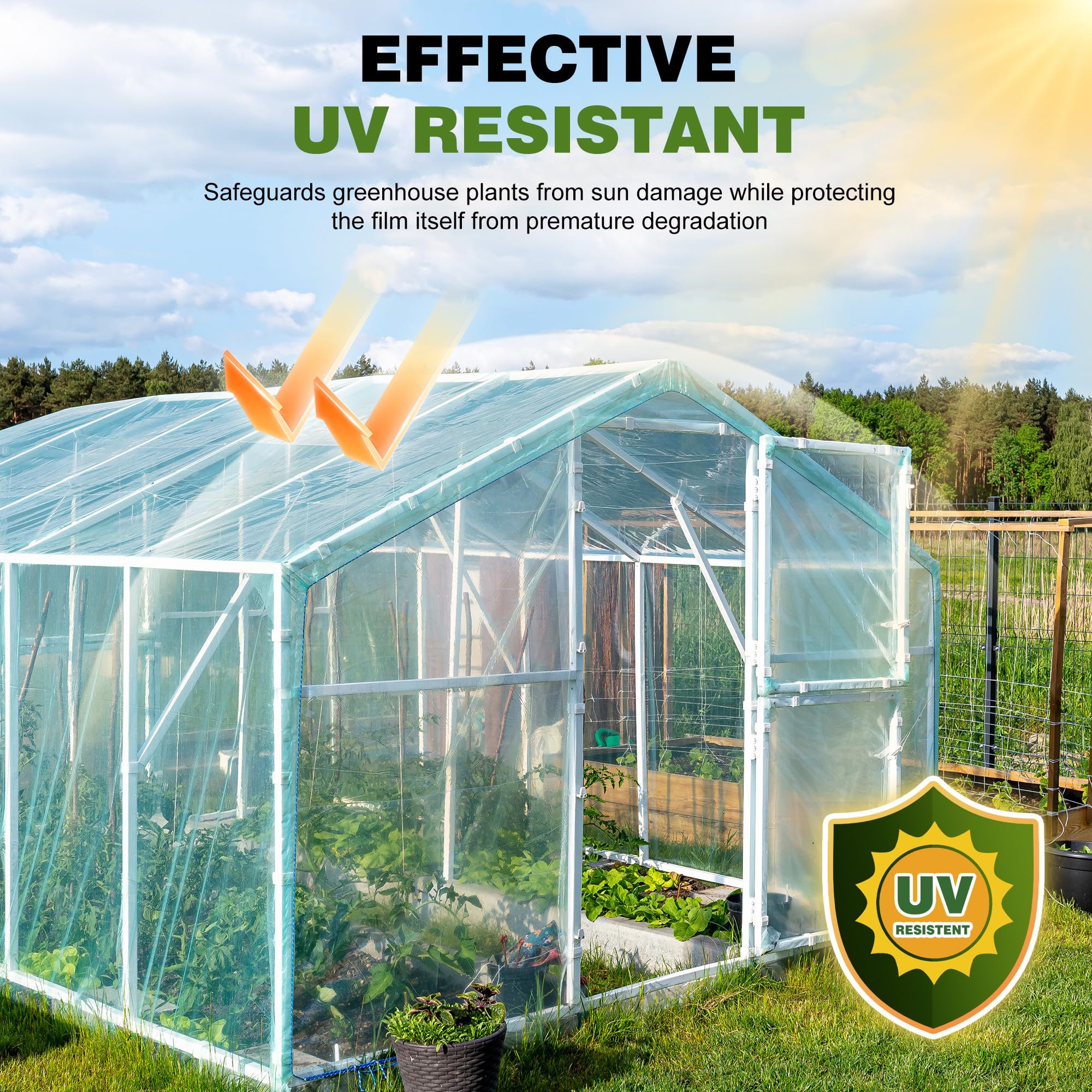 PROMORE 6 Mil greenhouse film with light diffusion for even canopy growth.