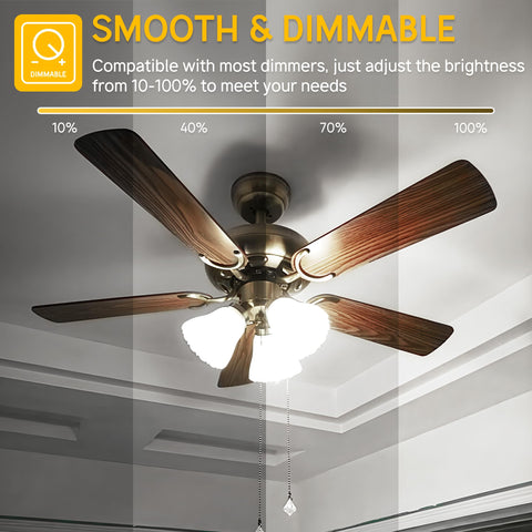 Prosperbiz E12 globe bulb installation in a ceiling fixture.