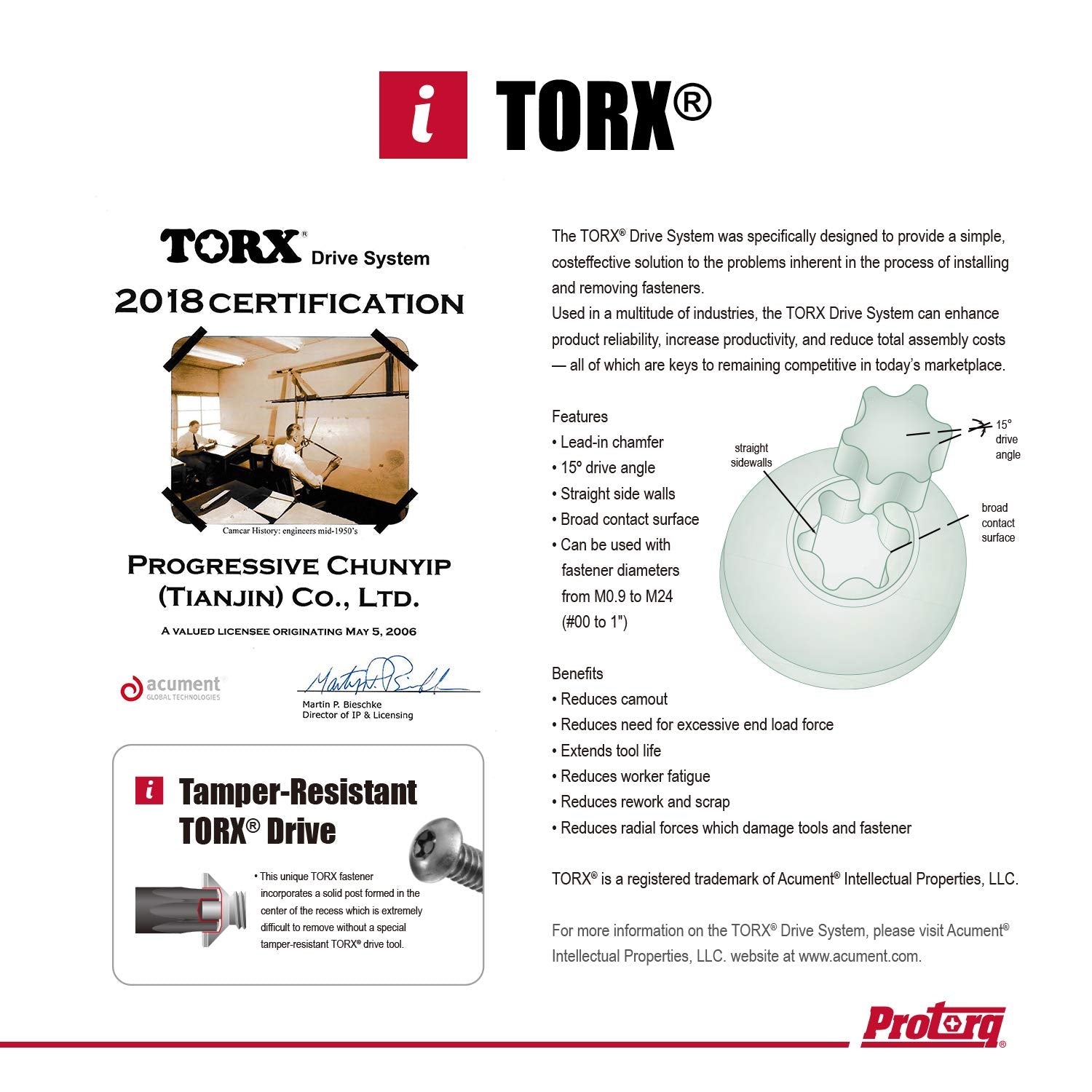 Protorq torx and tap bits arranged for easy access.