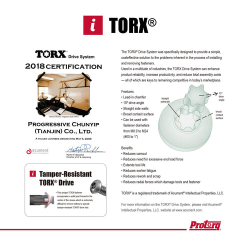 Protorq torx and tap bits arranged for easy access.