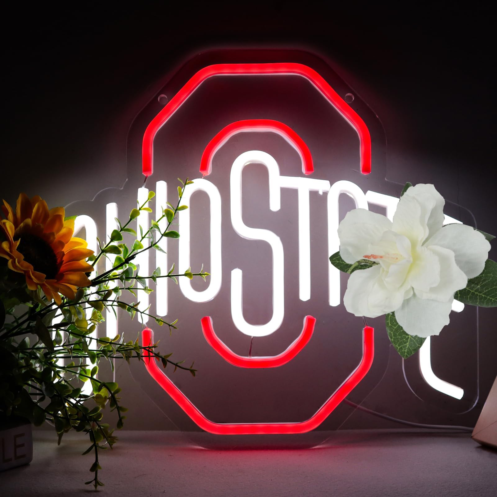 Pugna football neon sign bedroom-light adds colorful ambience.