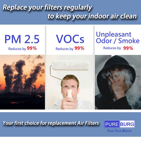 Pureburg MSA3 activated carbon layer detail helps reduce odors