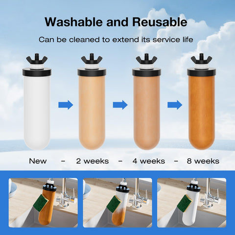 Purewell PF-4 defluorination option supports fluoride reduction when paired