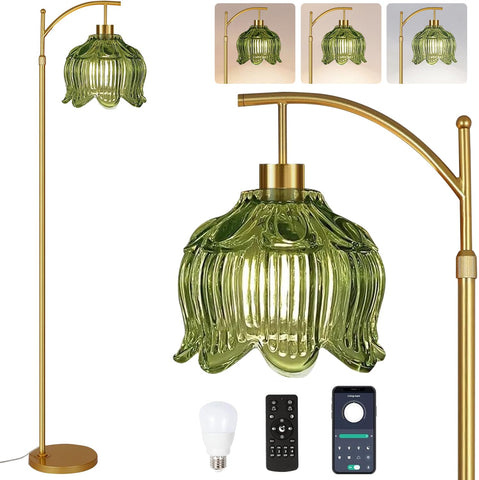 QIYIZM green floor lamp arc with remote for living room ambience