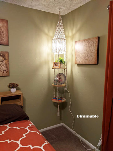 QIYIZM decor with plants and books creates inviting vignette